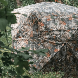 Tente spacieuse pour quatre personnes en milieu naturel