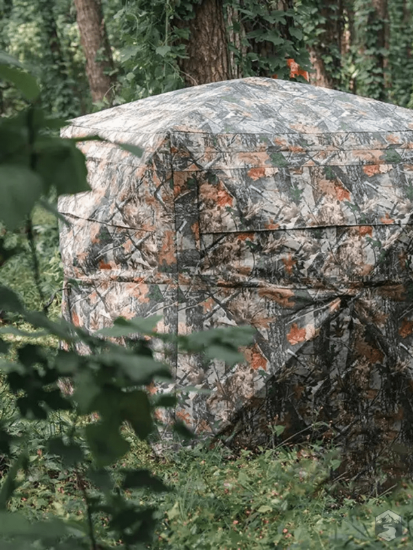 Tente spacieuse pour quatre personnes en milieu naturel