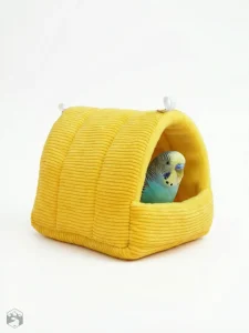Espace de vie agréable pour vos oiseaux de compagnie