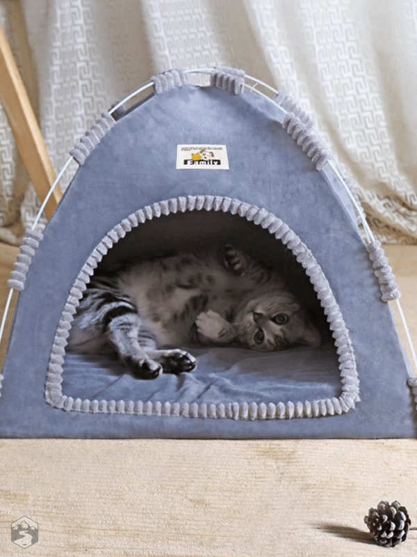 Espace de jeu pour félins